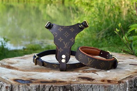 designer dog harness Louis Vuitton